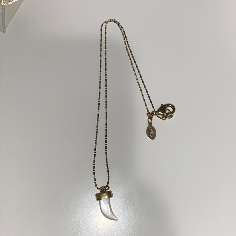 Express necklace